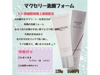 プリマプリート WEST店/マクセリー 洗顔フォーム
