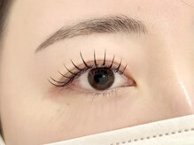 ラト(LATO)/フラットマットラッシュ120本