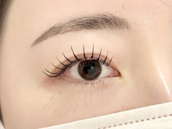 ラト(LATO)/フラットマットラッシュ120本