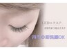 【再来】 LEDエクステ140本　セーブル￥8000/フラットラッシュ￥9000