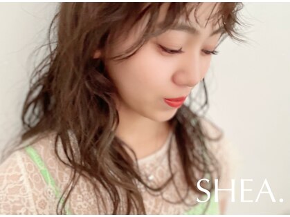 シア(SHEA.)の写真