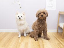 #けあなちゅらるの雰囲気(レオ店長とロイ先生がお出迎え)