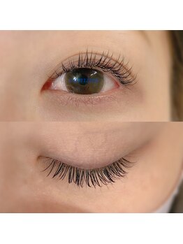 カミーノ(CAMINO)/フラットラッシュ