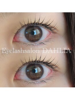 ダリア(DAHLIA)/パリジェンヌラッシュリフト