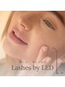 LEDエクステ(フラットラッシュ)100本アイシャンプー付き￥6,800→￥6,500