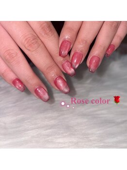 ヴィーナス(Venus)/チップ長さだしマグネットネイル