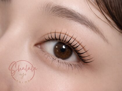 Shalala Eye久留米駅前【まつ毛パーマ/パリジェンヌラッシュリフト/マツエク/眉毛】の写真