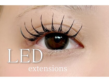 アパートメントオブソロン 錦糸町(The Apartment of Solon)の写真