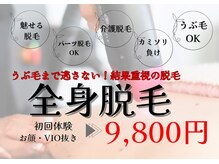 ベル(Belle)
