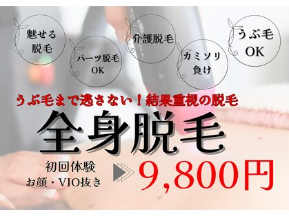 ベル(Belle)の写真