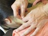 ［首・肩コリでお悩みの方へ]鍼灸ケア＋もみほぐし　おまかせ60分￥5100