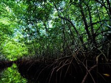 アジアンリラクゼーション ヴィラ 大橋店(asian relaxation villa)/バリ島　マングローブ