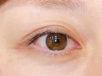 アルター エクラ(aL-ter e´clat)/アイラッシュ　100本