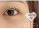 ハッチ(hacchi)の写真