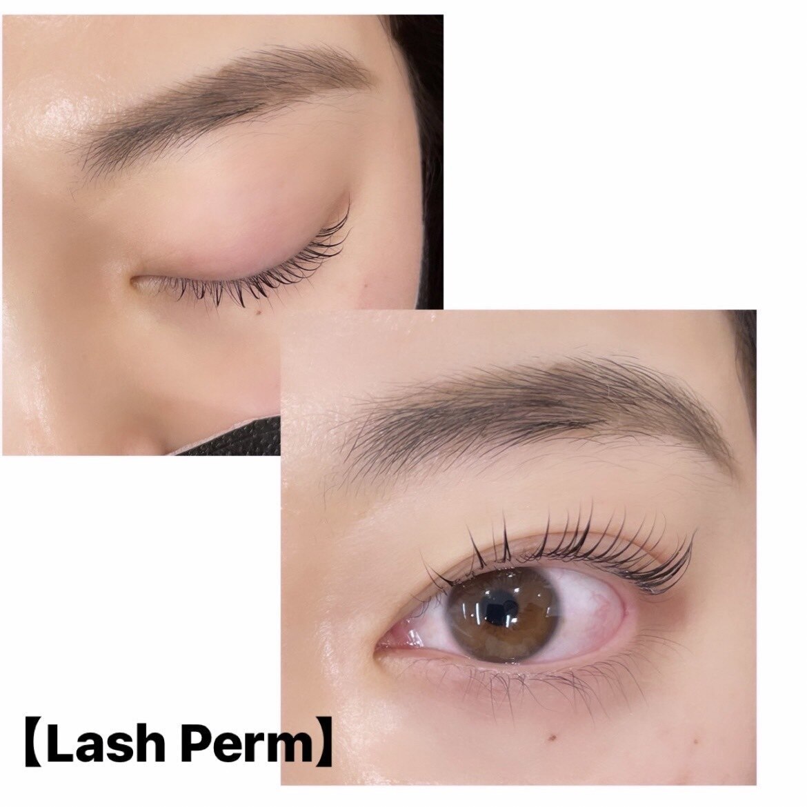 【当店一番人気】上まつ毛パーマ☆　トリートメントケア付き♪￥6550→\5900