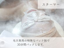 スリーナイン ビュウ(3Nine BEAU)/スチーマー