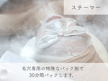 スリーナイン ビュウ(3Nine BEAU)/スチーマー