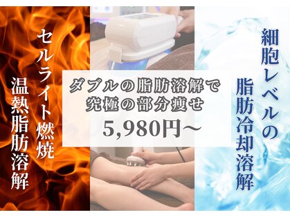 クレビア(Clevia)の写真