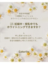 コトリト(Cotorito)/