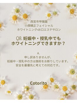 コトリト(Cotorito)/