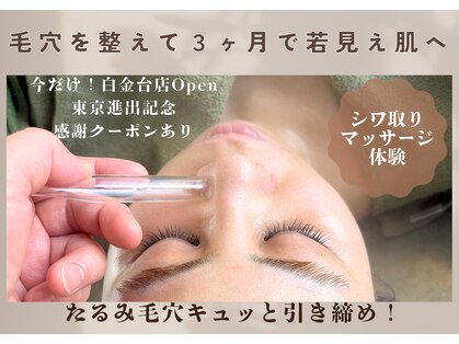 ルミエール 円山裏参道forestside店の写真