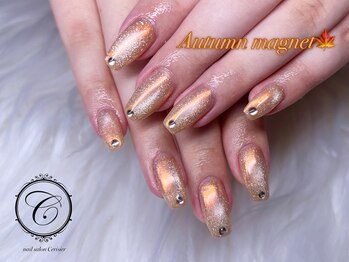 セリシール(Cericier)/【パラジェル】オーロラ×マグ