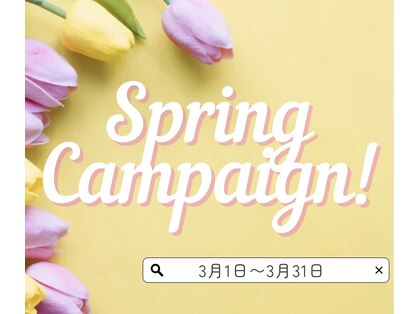 シェーン(Schon)の写真