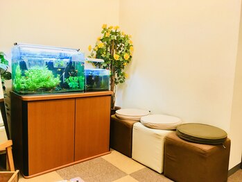 PULカイロプラクティック館/初回カウンセリング