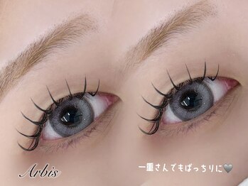 アルビス(Arbis)/ダブルフラット120～140本