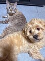 ペイジ(page) ワンちゃんと猫ちゃん飼っています♪癒しの存在です!