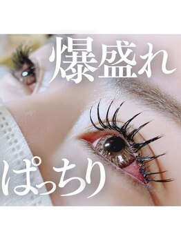 エクラ 伊勢崎店(eclat)/マツエク/Dカール