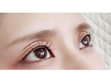 アーティストシーナ/シェル