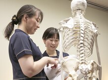 ファシア(fascia)/解剖学に基づき全身トータルケア
