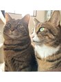 リット(litto) ねこ2匹飼ってます。