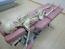 足立カイロプラクティック/昇降やドロップを持つ特殊ベッド