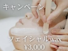 ロカスウィッチ(roca switch)