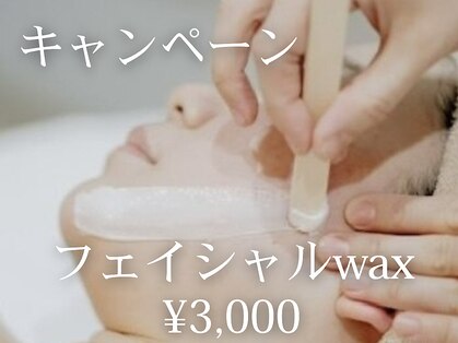 ロカスウィッチ(roca switch)の写真