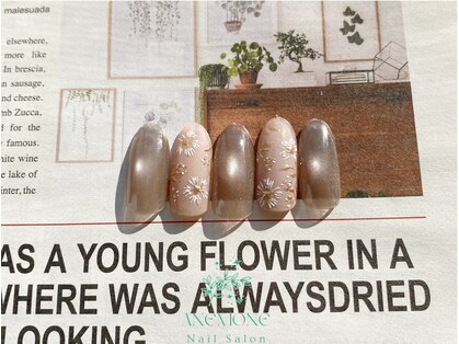 アネモネ(ANEMONE)の写真