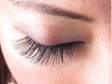 アイラッシュ エルーチェ(Eluce)/付け放題