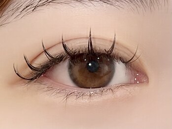 パキラ(Pachira)/束感まつ毛~くるんっと立体感~