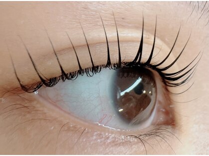 アイマイミー(i my me.)の写真