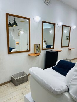 ルピナス(Lupinus)/