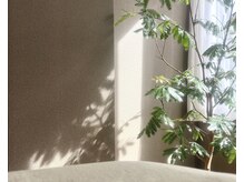 オクルミ 茅場町(Okurumi)の雰囲気（誰も気にせず大の字になれる場所。#オイルマッサージ #タイ古式）