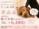 和癒の写真