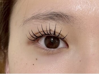 シアラ 北花田店(Ciara)の写真/【カウンセリング重視☆まつげ・眉でお悩みの方】お悩み解消♪丁寧なカウンセリングと繊細な技術で持続力◎