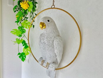 エルシーク(L seek)/足ツボが大人気