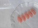 2025年7月　定額デザイン