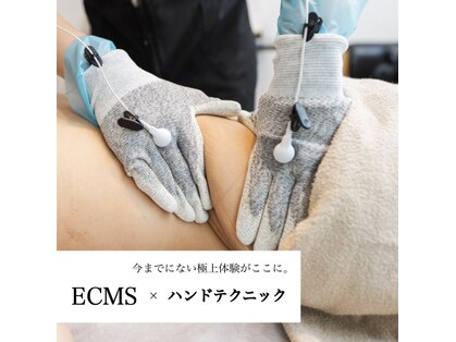 サワヤカ(SAWAYAKA)の写真