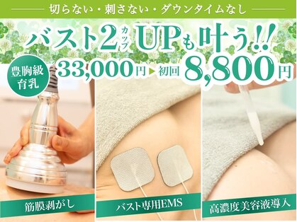 美人バスト 辻堂店の写真