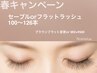 春限定人気★セーブルorフラット　110～120本　ブラウンor黒とMIX無料